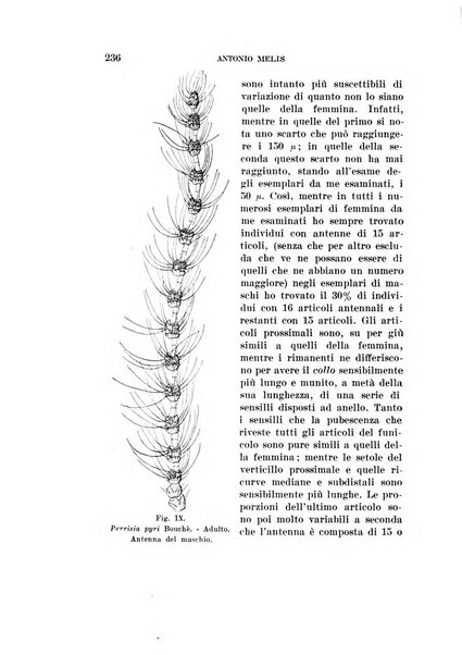 Redia giornale di entomologia pubblicato dalla R. Stazione di entomologia agraria