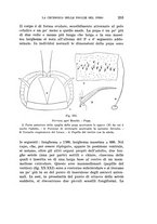 giornale/UFI0040156/1938/unico/00000289