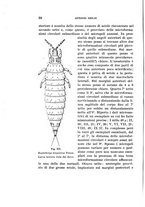 giornale/UFI0040156/1939/unico/00000068