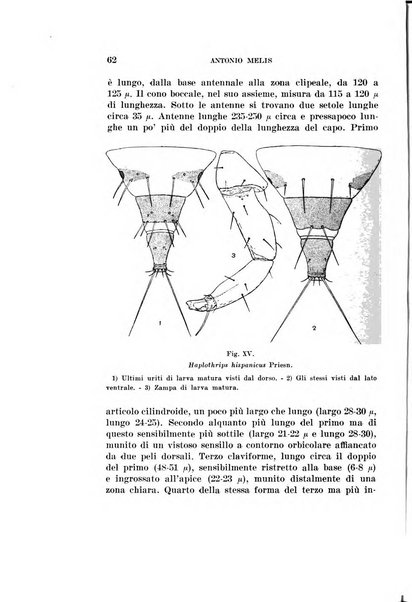 Redia giornale di entomologia pubblicato dalla R. Stazione di entomologia agraria