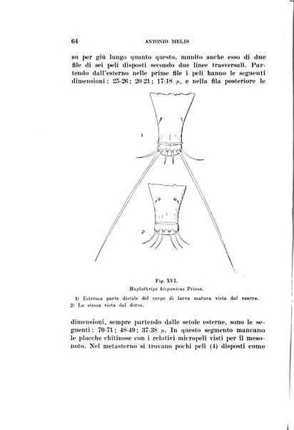 Redia giornale di entomologia pubblicato dalla R. Stazione di entomologia agraria