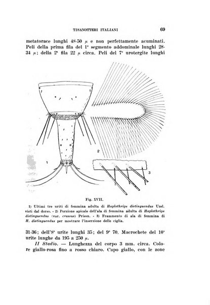 Redia giornale di entomologia pubblicato dalla R. Stazione di entomologia agraria