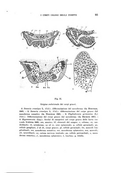 Redia giornale di entomologia pubblicato dalla R. Stazione di entomologia agraria