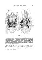 giornale/UFI0040156/1939/unico/00000111