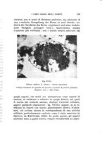 giornale/UFI0040156/1939/unico/00000135