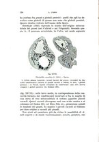 giornale/UFI0040156/1939/unico/00000164