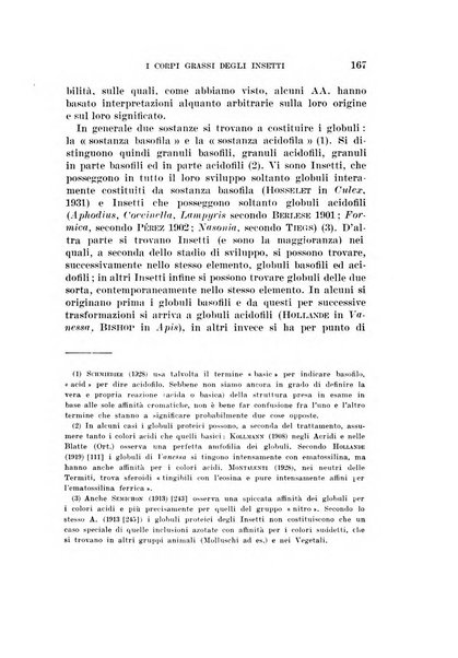 Redia giornale di entomologia pubblicato dalla R. Stazione di entomologia agraria