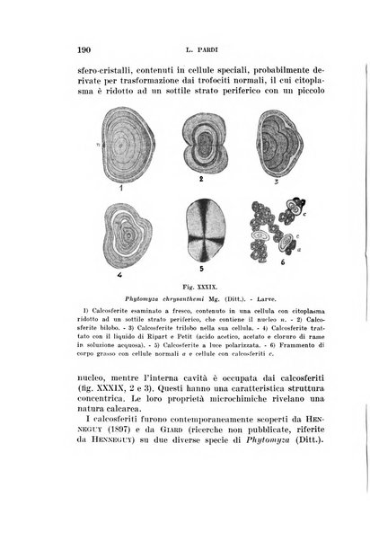 Redia giornale di entomologia pubblicato dalla R. Stazione di entomologia agraria