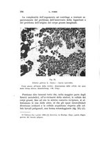 giornale/UFI0040156/1939/unico/00000204