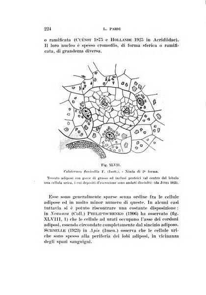 Redia giornale di entomologia pubblicato dalla R. Stazione di entomologia agraria