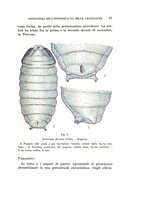 giornale/UFI0040156/1940/unico/00000065