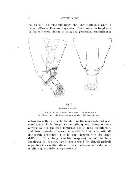 Redia giornale di entomologia pubblicato dalla R. Stazione di entomologia agraria