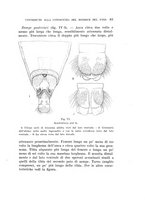 giornale/UFI0040156/1940/unico/00000091