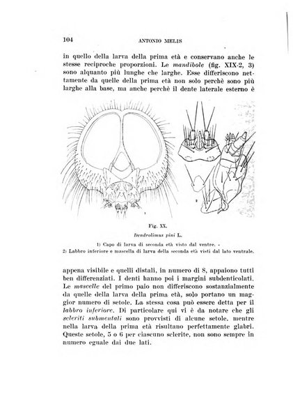 Redia giornale di entomologia pubblicato dalla R. Stazione di entomologia agraria