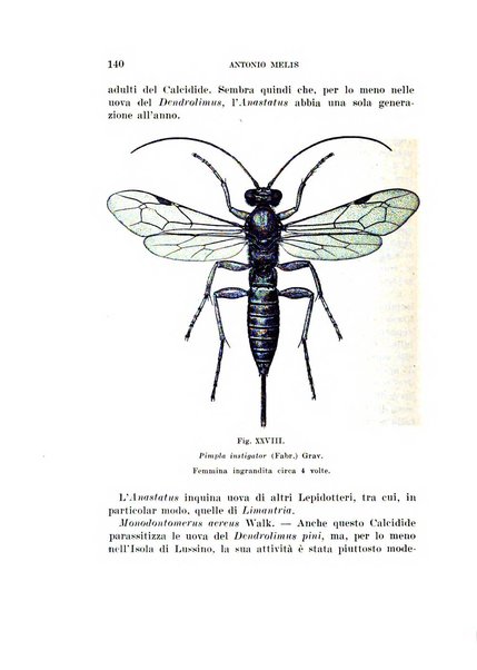 Redia giornale di entomologia pubblicato dalla R. Stazione di entomologia agraria