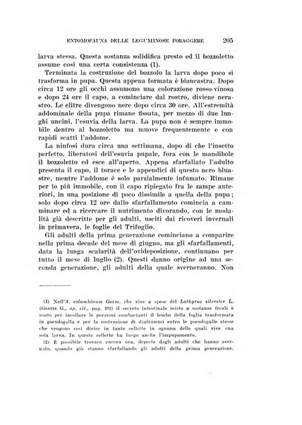 Redia giornale di entomologia pubblicato dalla R. Stazione di entomologia agraria