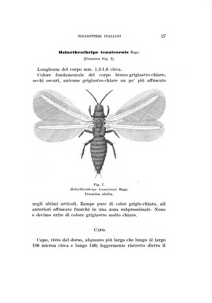 Redia giornale di entomologia pubblicato dalla R. Stazione di entomologia agraria