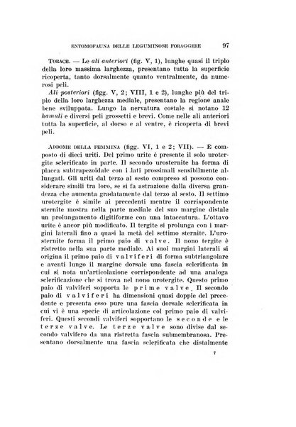 Redia giornale di entomologia pubblicato dalla R. Stazione di entomologia agraria