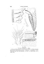 giornale/UFI0040156/1941/unico/00000114