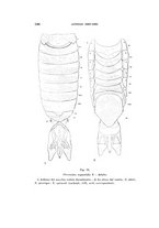 giornale/UFI0040156/1941/unico/00000116