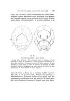 giornale/UFI0040156/1941/unico/00000119