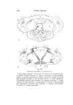 giornale/UFI0040156/1941/unico/00000126