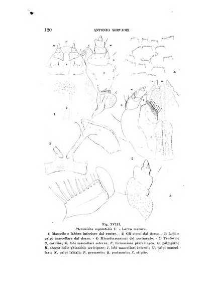 Redia giornale di entomologia pubblicato dalla R. Stazione di entomologia agraria