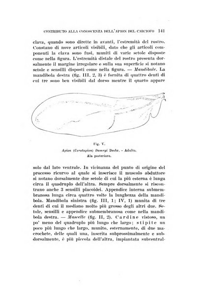 Redia giornale di entomologia pubblicato dalla R. Stazione di entomologia agraria