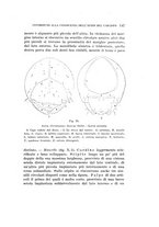 giornale/UFI0040156/1941/unico/00000157