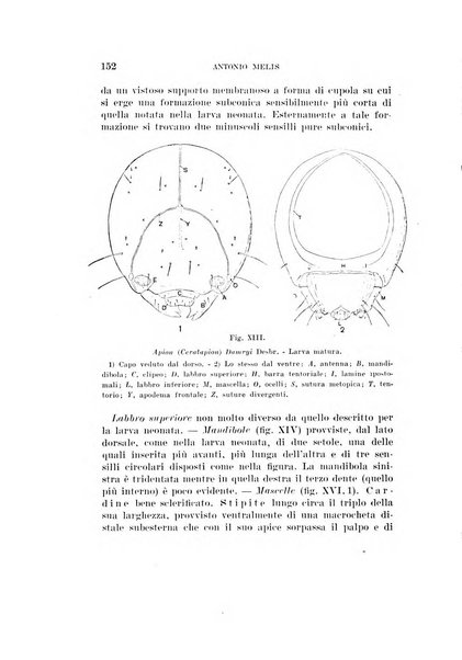 Redia giornale di entomologia pubblicato dalla R. Stazione di entomologia agraria