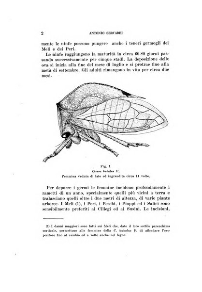 Redia giornale di entomologia pubblicato dalla R. Stazione di entomologia agraria