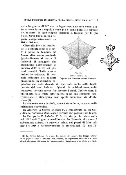 Redia giornale di entomologia pubblicato dalla R. Stazione di entomologia agraria