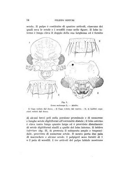 Redia giornale di entomologia pubblicato dalla R. Stazione di entomologia agraria