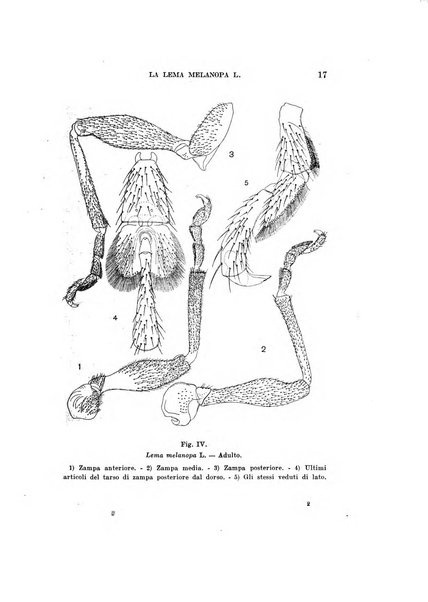 Redia giornale di entomologia pubblicato dalla R. Stazione di entomologia agraria