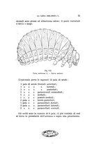 giornale/UFI0040156/1942/unico/00000031