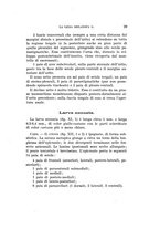 giornale/UFI0040156/1942/unico/00000039