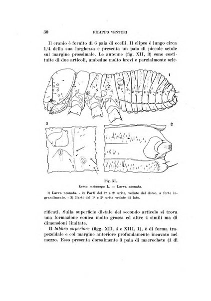 Redia giornale di entomologia pubblicato dalla R. Stazione di entomologia agraria