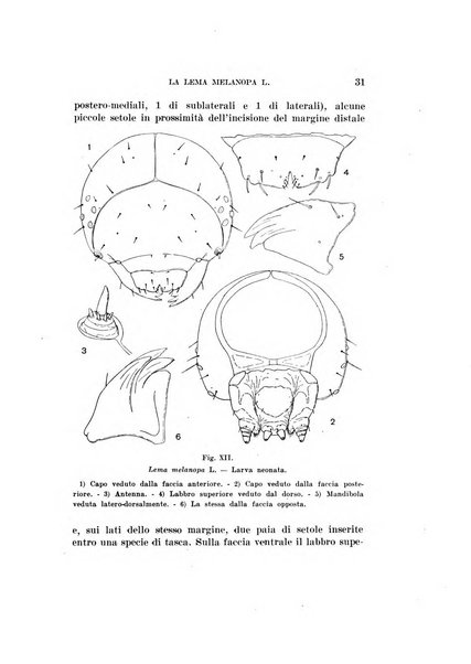 Redia giornale di entomologia pubblicato dalla R. Stazione di entomologia agraria