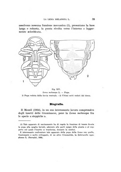 Redia giornale di entomologia pubblicato dalla R. Stazione di entomologia agraria