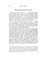 giornale/UFI0040156/1942/unico/00000056