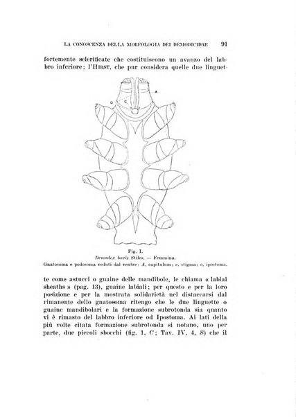 Redia giornale di entomologia pubblicato dalla R. Stazione di entomologia agraria