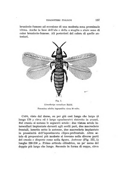 Redia giornale di entomologia pubblicato dalla R. Stazione di entomologia agraria