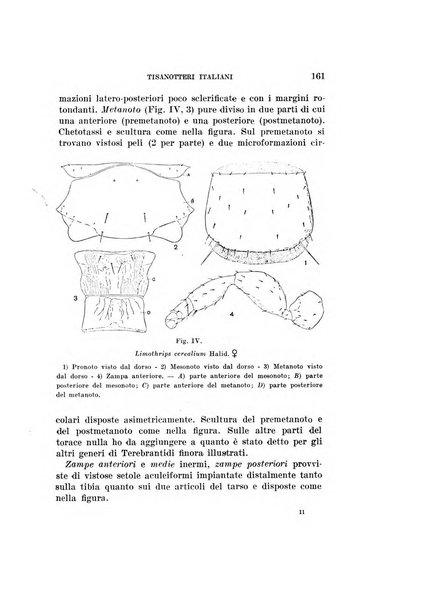 Redia giornale di entomologia pubblicato dalla R. Stazione di entomologia agraria