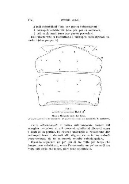 Redia giornale di entomologia pubblicato dalla R. Stazione di entomologia agraria