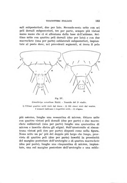 Redia giornale di entomologia pubblicato dalla R. Stazione di entomologia agraria