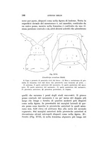 Redia giornale di entomologia pubblicato dalla R. Stazione di entomologia agraria