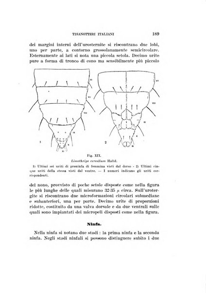 Redia giornale di entomologia pubblicato dalla R. Stazione di entomologia agraria