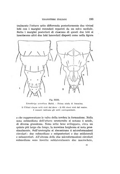 Redia giornale di entomologia pubblicato dalla R. Stazione di entomologia agraria