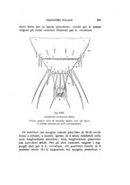 giornale/UFI0040156/1942/unico/00000213