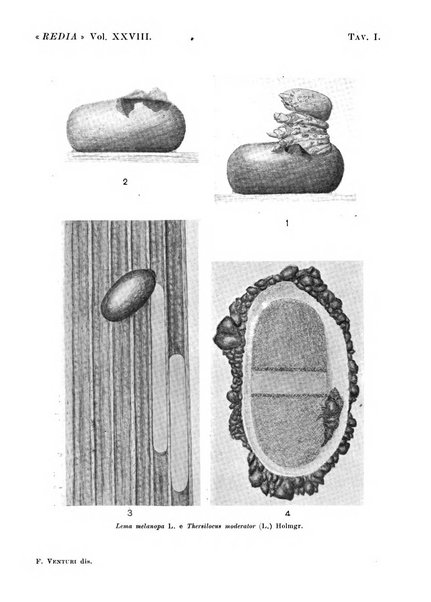 Redia giornale di entomologia pubblicato dalla R. Stazione di entomologia agraria